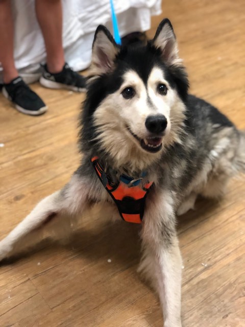 felix fund donation to caaws