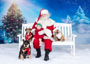 santa holing baby and dogs for pet photo portrait